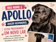 Apollo
