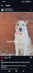 loki