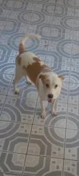 loki