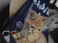 simba