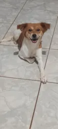 Chloe 