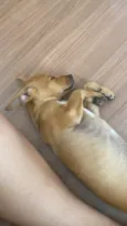 Kira