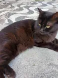 lua