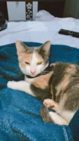 Bella (11)92192-5814