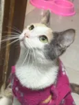 Bella (11)92192-5814