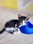 ITA 