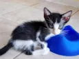 ITA 