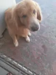 barry