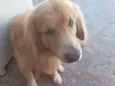 barry