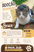Bruce