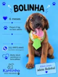 Bolinha