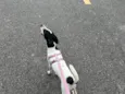 Nina