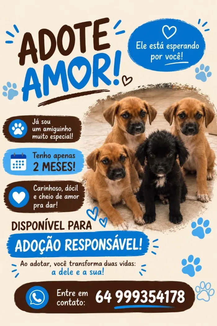 Cachorro raça SRD-ViraLata idade 2 a 6 meses nome Não dei nome 