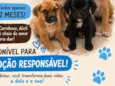 Não dei nome 