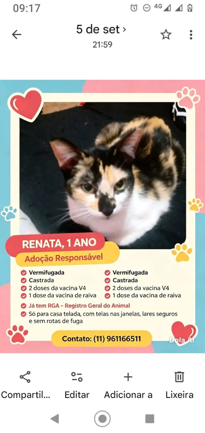 Gato raça SRD-ViraLata idade 1 ano nome Renata