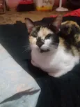 Renata
