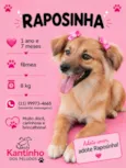 Raposinha