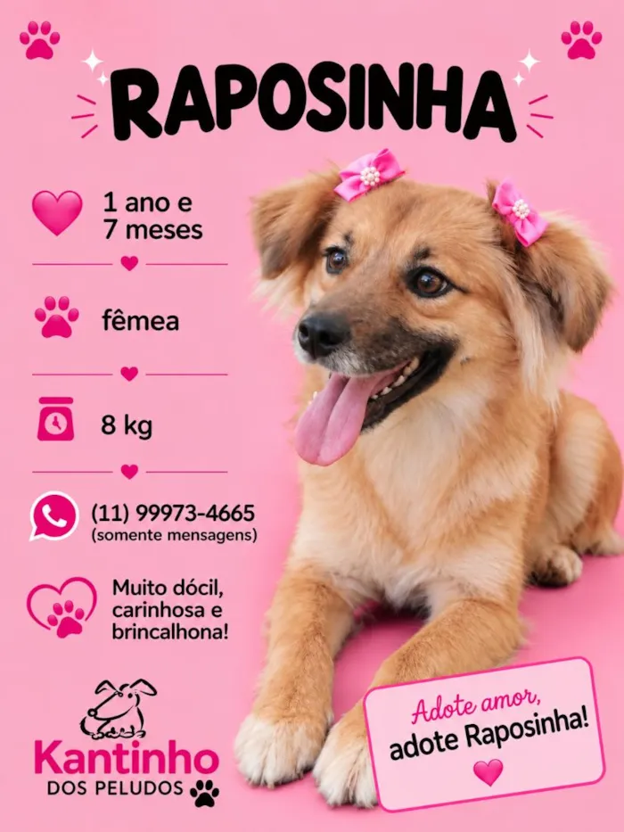 Cachorro raça SRD-ViraLata idade 1 ano nome Raposinha