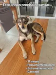 Bob