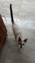 mia