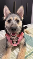 Nina