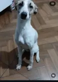 princesa 