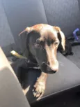 Bebê