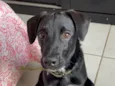 Bebê
