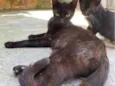 Karma