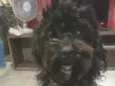 Belinha