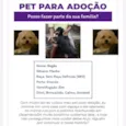Negão