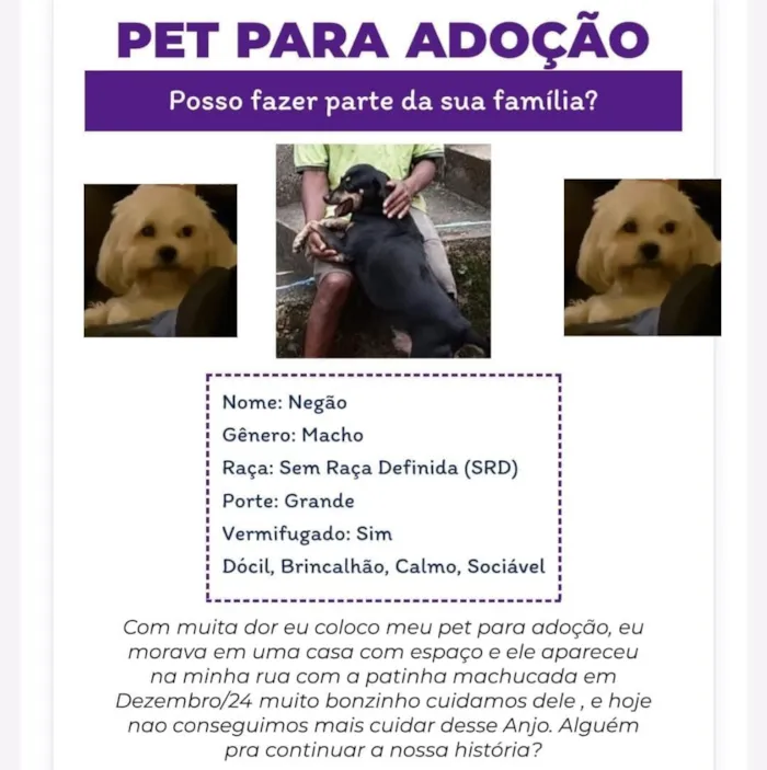 Cachorro raça SRD-ViraLata idade 6 ou mais anos nome Negão