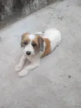 Cloé