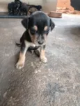 !