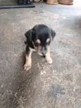 !