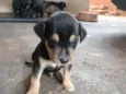 !