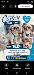 Ted