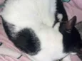 Tom