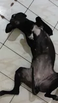 Kiara