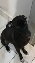Kiara