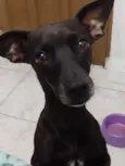 Nina