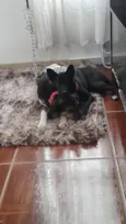 Zulu