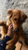 Chico