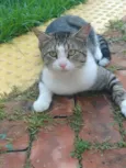 Bruce