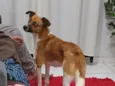 Paçoca