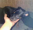kiko
