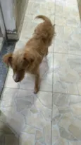 Julie