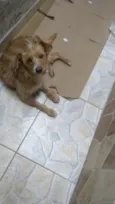 Julie 
