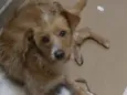 Julie