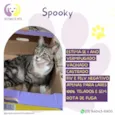 Spooky